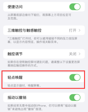 安义苹果授权维修站分享iPhone轻点无法唤醒怎么办 