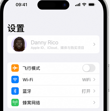 安义appleID维修服务iPhone设置中Apple ID显示为灰色无法使用 