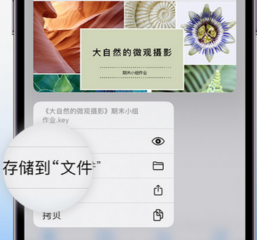 安义apple维修中心分享iPhone文件应用中存储和找到下载文件