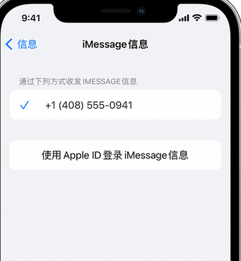 安义apple维修iPhone上无法正常发送iMessage信息 