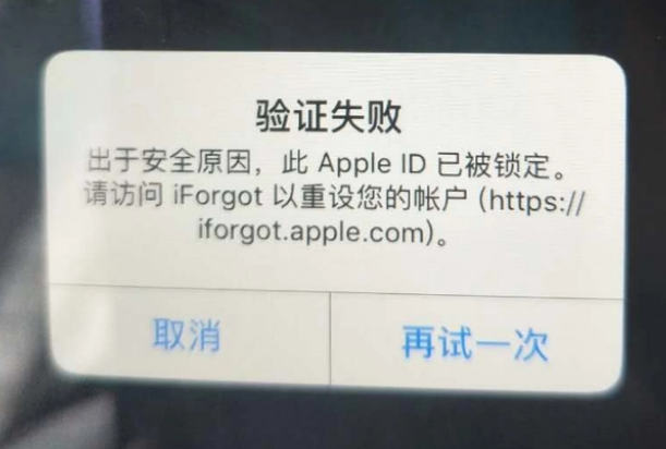 安义iPhone维修分享iPhone上正常登录或使用AppleID怎么办 