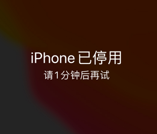 安义苹果手机维修分享:iPhone 显示“不可用”或“已停用”怎么办？还能保留数据吗？ 