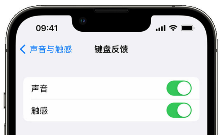 安义苹果手机维修分享iPhone 14触感键盘使用方法 