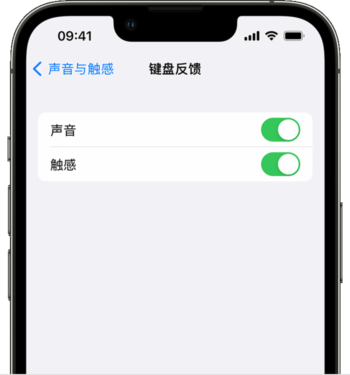 安义苹果14维修店分享如何在 iPhone 14 机型中使用触感键盘 