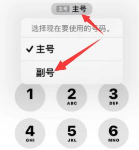 安义苹果14维修店分享iPhone 14 Pro Max使用副卡打电话的方法 