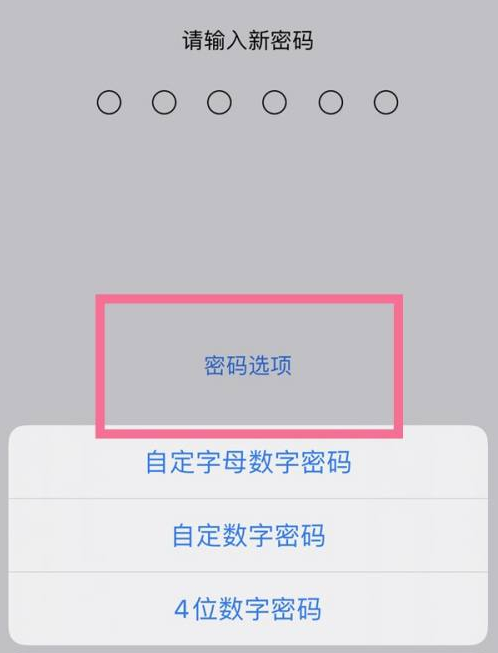 安义苹果14维修分享iPhone 14plus设置密码的方法 