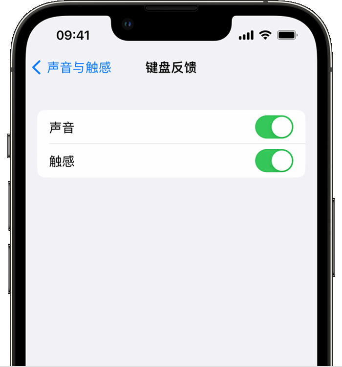 安义苹果14维修分享iPhone 14 系列机型如何开启键盘声音或触感反馈 
