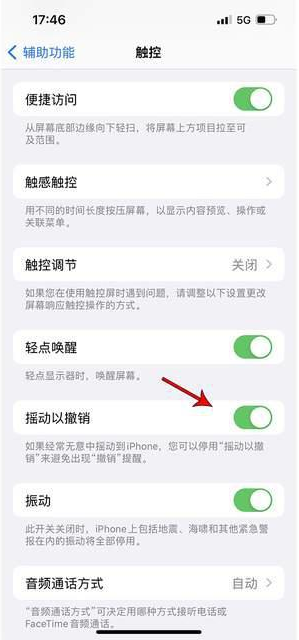 安义苹果手机维修分享iPhone手机如何设置摇一摇删除文字 