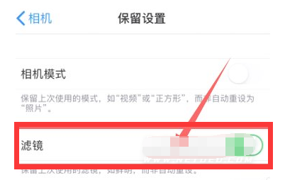 安义苹果13维修分享iPhone13拍照有绿点是怎么回事 