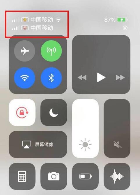 安义苹果手机维修分享为 iPhone 12 双卡设置标签 